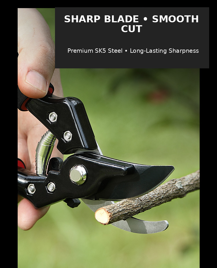 Pruning a garden branch